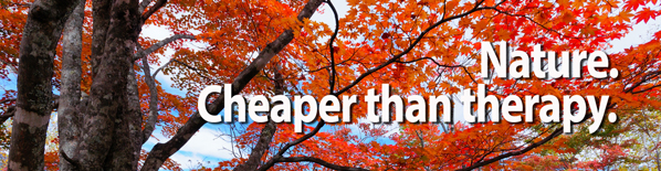 Nature is Cheaper Than Therapy
