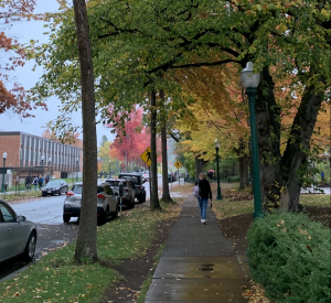 Imagery of a fall day on the University of Oregon Campus. The sidewalk is lined by trees of changing color, parked cars, and pedestrians