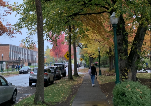 Imagery of a fall day on the University of Oregon Campus. The sidewalk is lined by trees of changing color, parked cars, and pedestrians